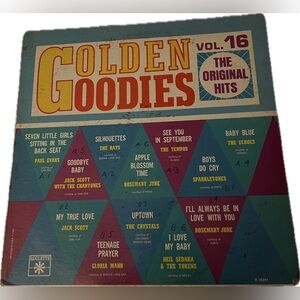 💙 Golden Goodies Vinyl Album